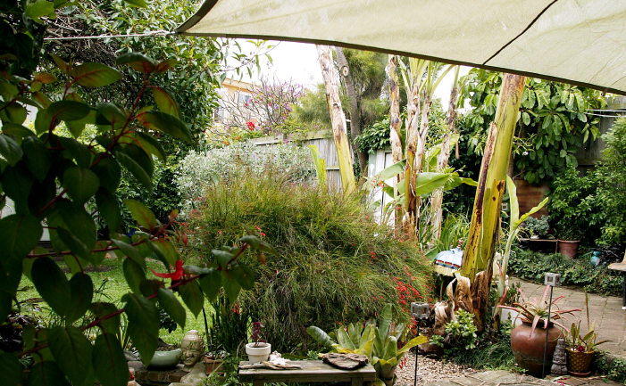 Shade sail over patio