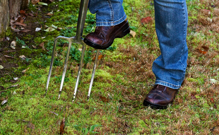 Pitchfork in a lawn.