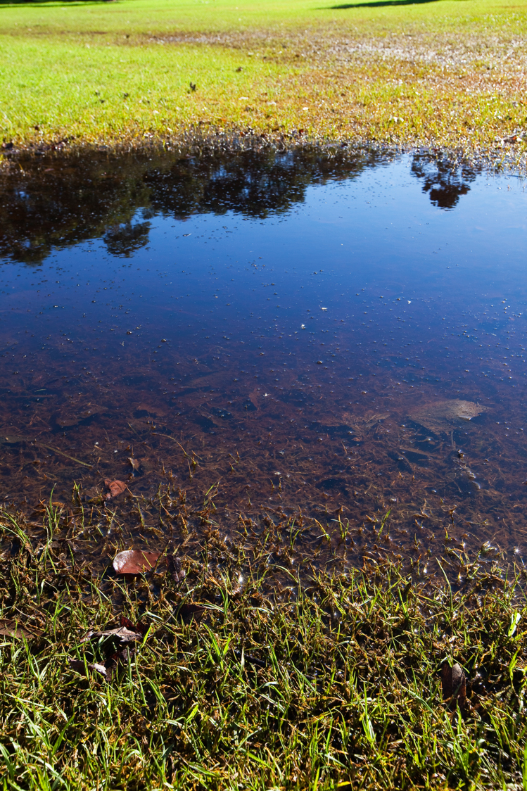 lawn drainage