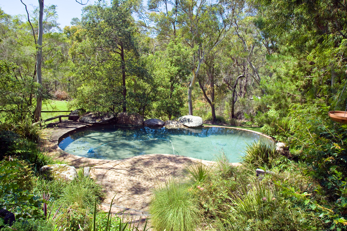 Messy Plants Around Pools