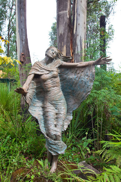 Dancing in the Wind