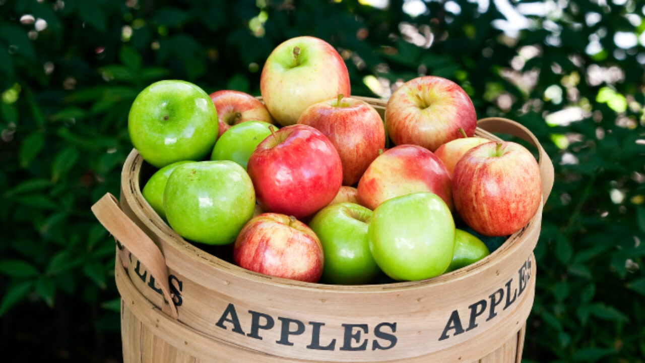 Granny Smith: the apple that Sydney gave the world