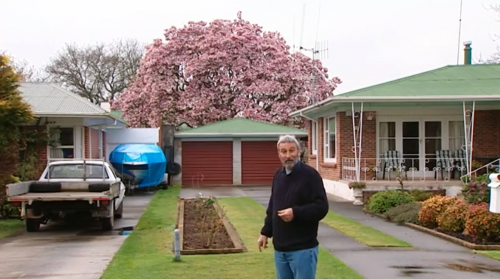 World's Biggest Magnolia