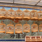 Burke’s Backyard in China – Shanghai Pet Street