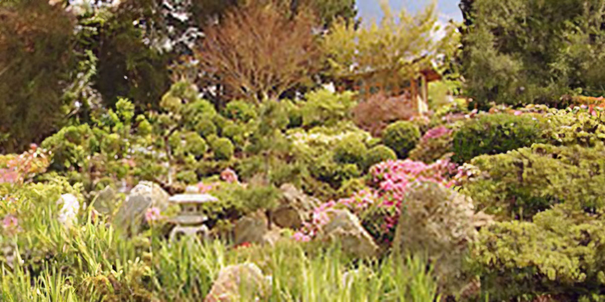 Japanese Waterfall Garden