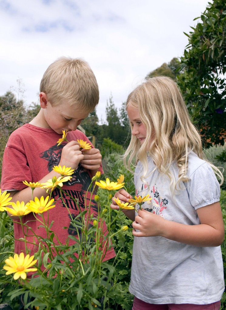 kids picking flowers