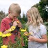 kids picking flowers