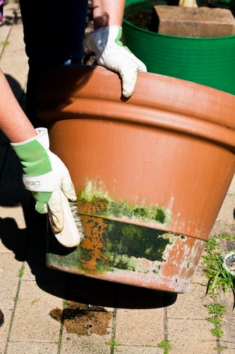 Scrubbing pots