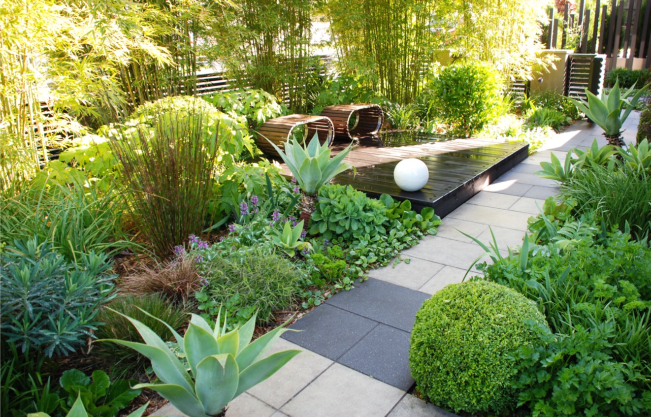 Magic Tricks Burke S Backyard