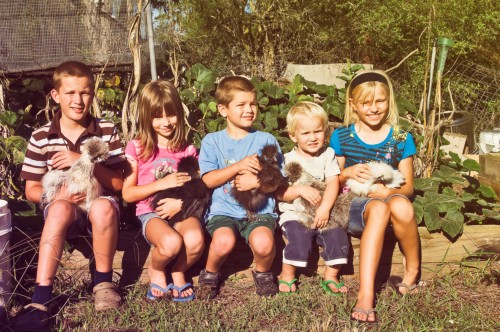 Chooks For Kids