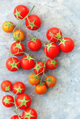 tomatoes