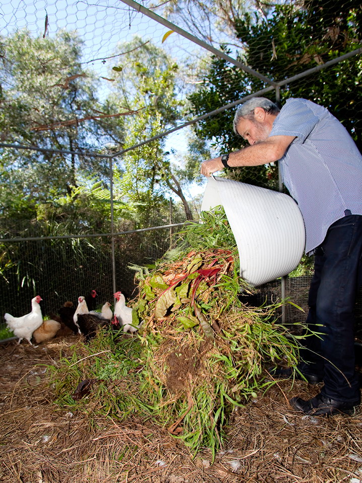 compost