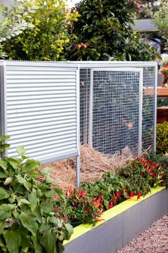 Don’s Tips: Backyard Farm DVD
