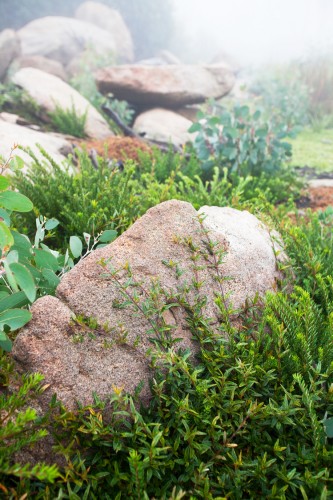 rocks
