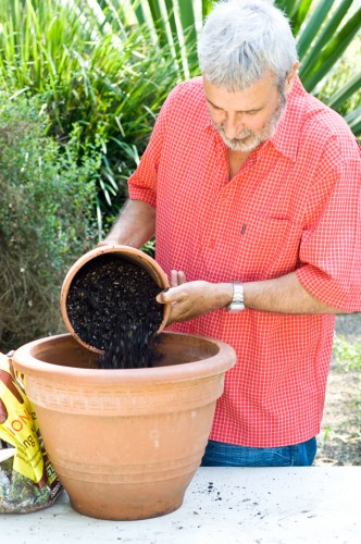 potting mix