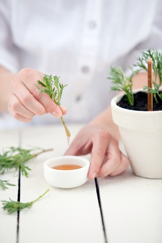 Cuttings