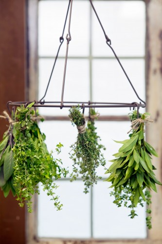 Drying Herbs