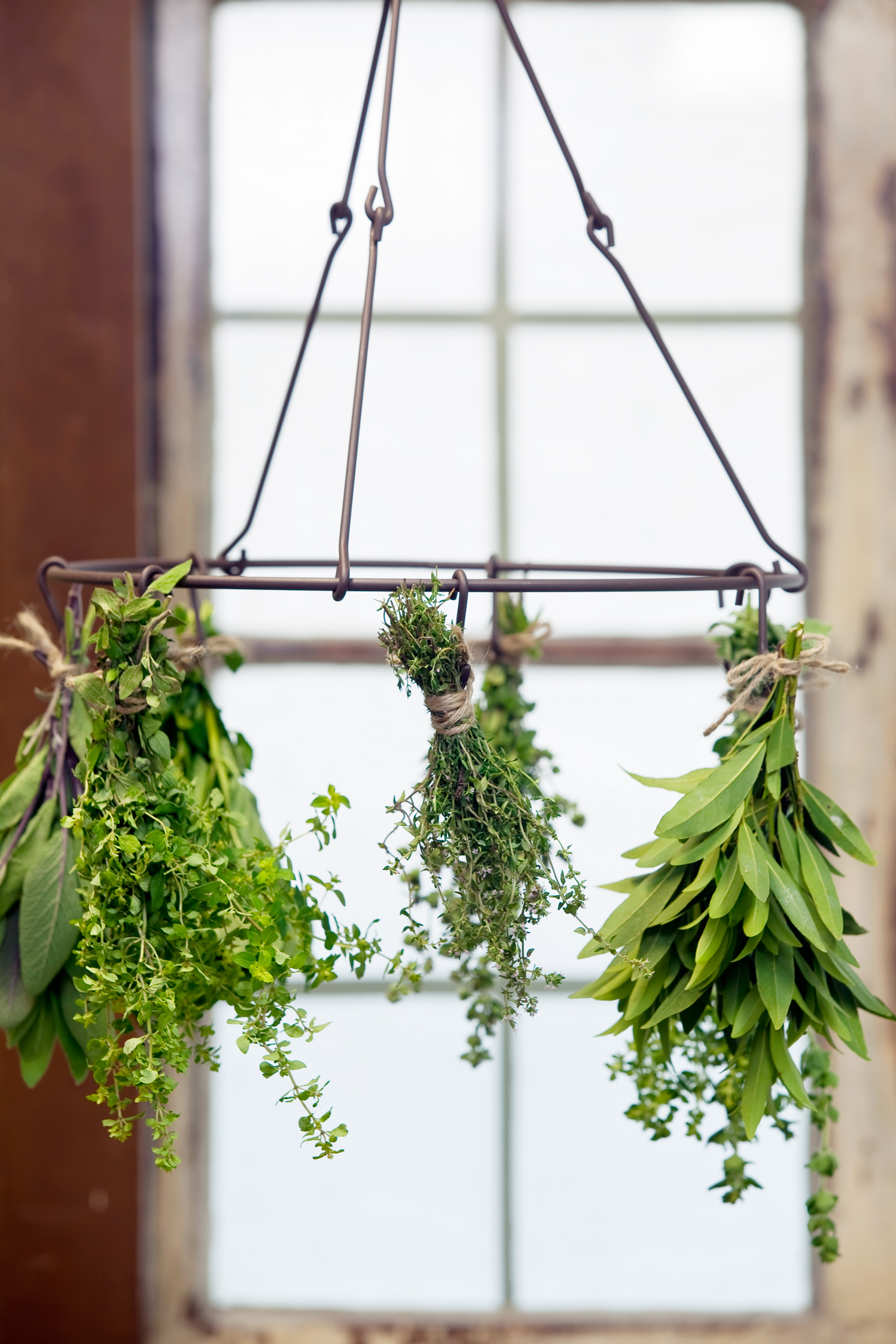 Don’s Tips Drying Herbs Burke's Backyard