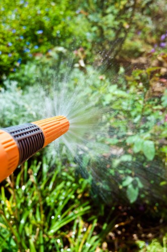 watering