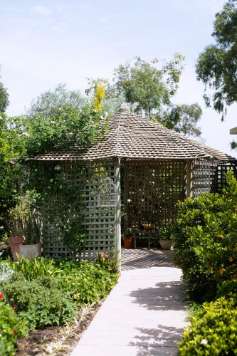Trellis structure