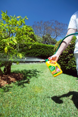 Hose End Sprays