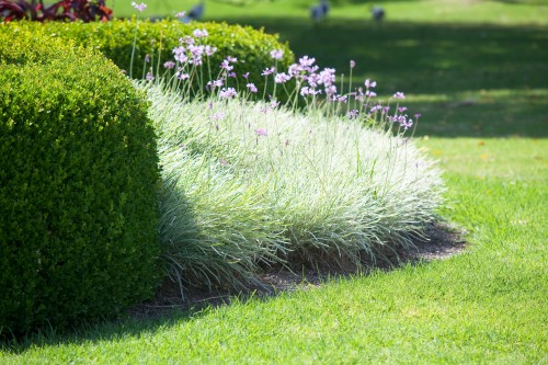 Lawn Edges