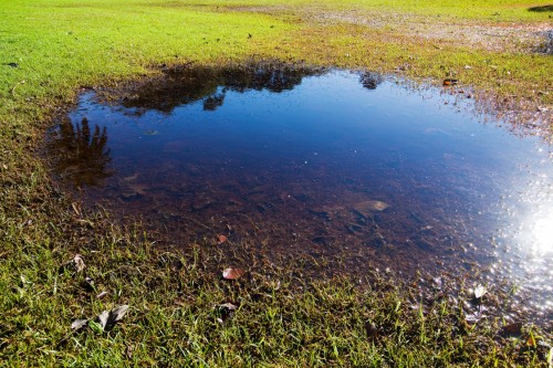 water
