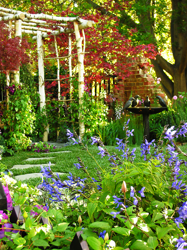 Picturesque Garden