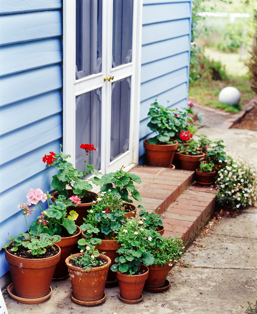 Entrances To Homes