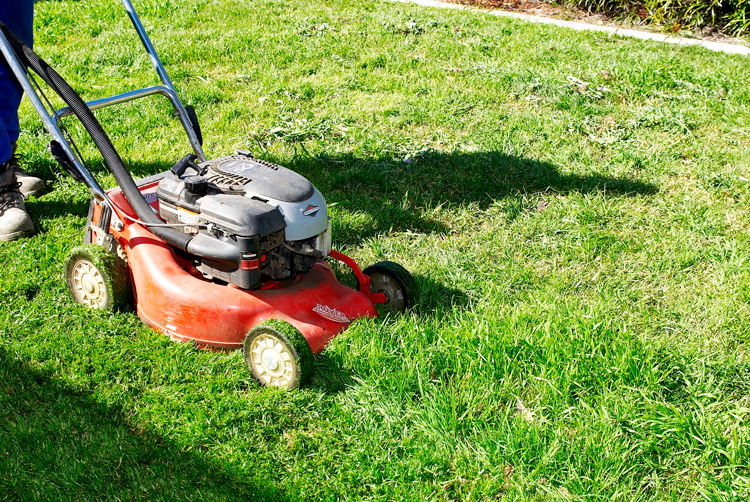 Mower