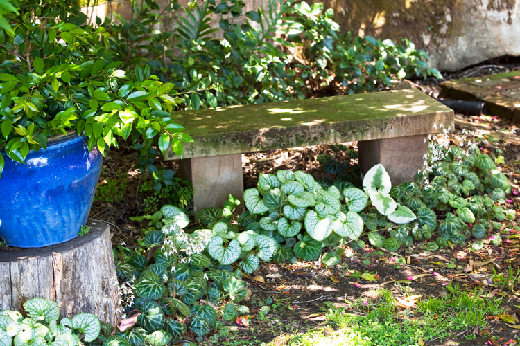 Don's Tips: Small Garden Makeovers - Burke's Backyard