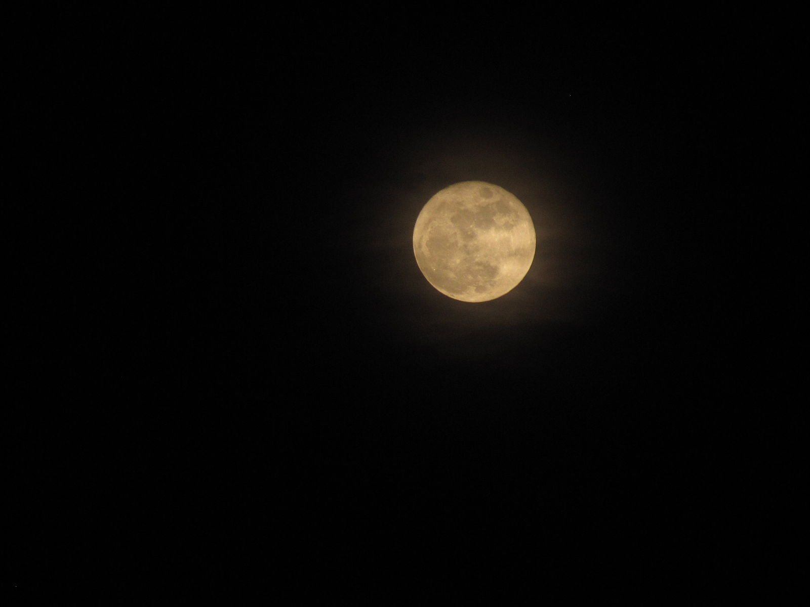 Don’s Tips: Planting By The Moon