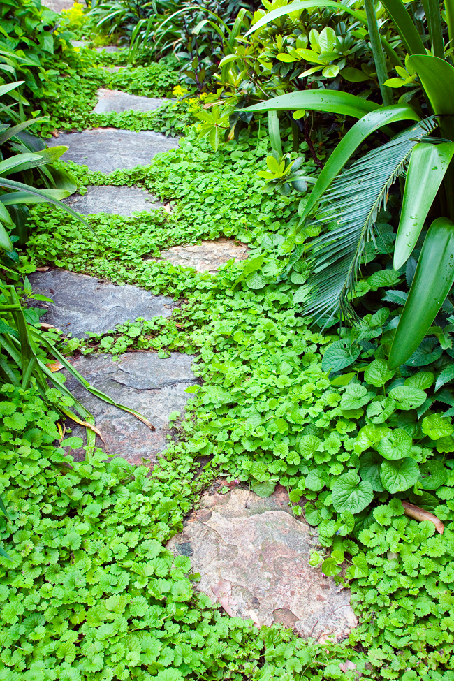 path