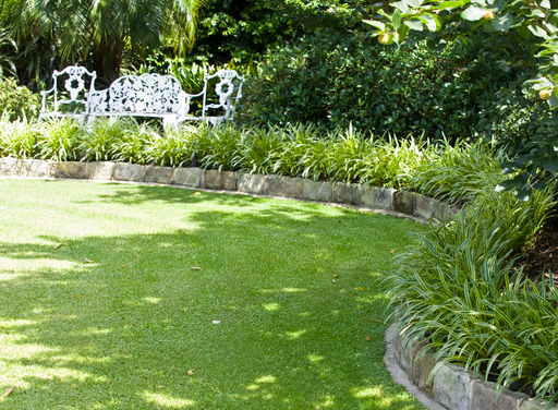 Don’s Tips – The Lawn